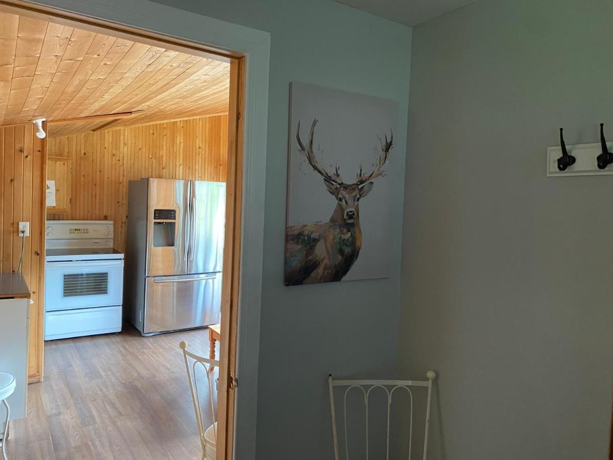 Merland Park Cottages And Motel Picton Extérieur photo