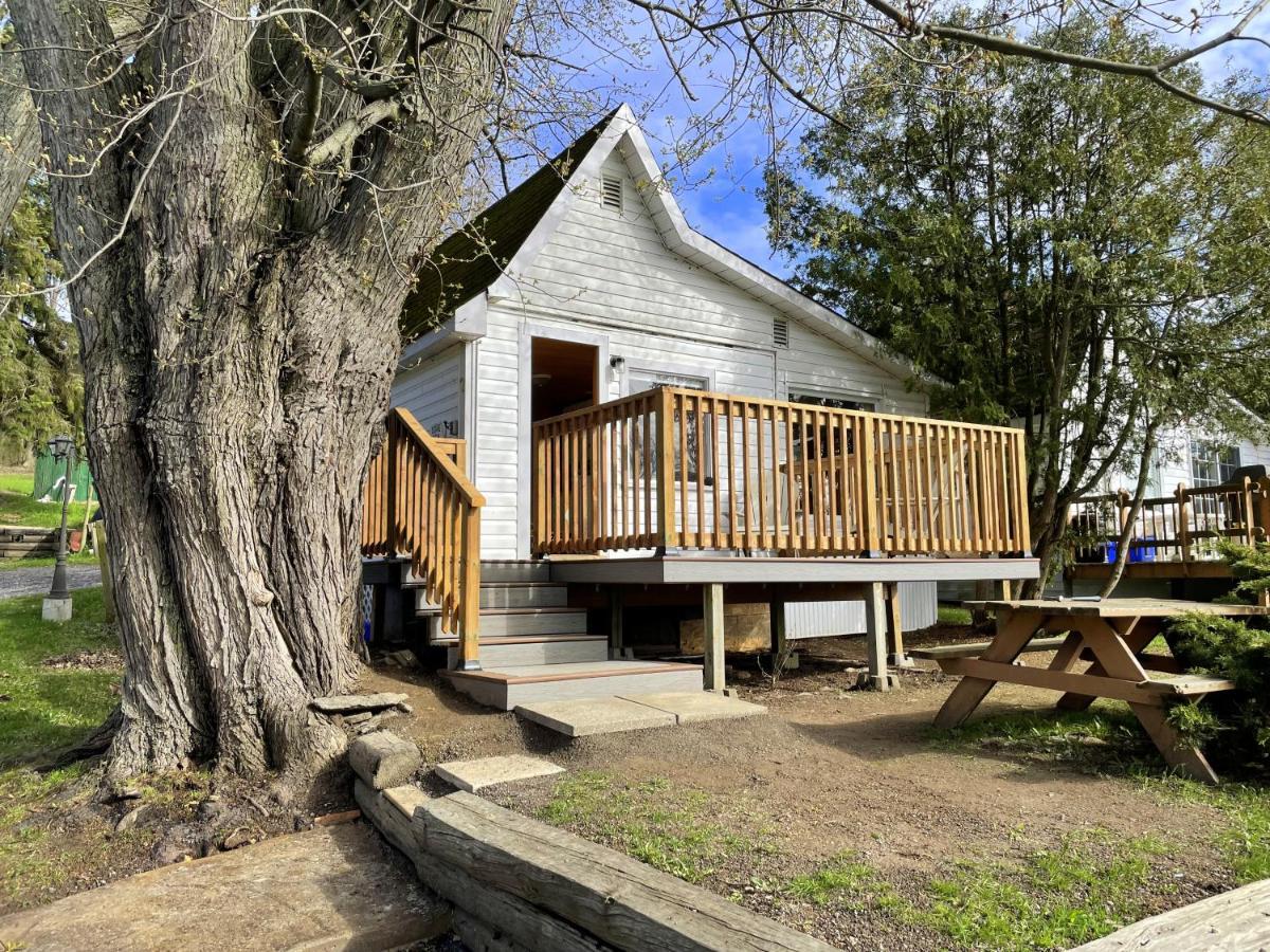Merland Park Cottages And Motel Picton Extérieur photo